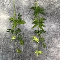 Цветок искусственный TM-111 86CM